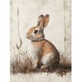 thumbnail image 1 of Qisvanset 12x16 Inch Antique Rabbit Sketch Canvas Wall Art, Woodland Vintage Animal Nursery Home Wall Decor, 1 of 8