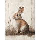 thumbnail image 1 of Qisvanset 12x16 Inch Antique Rabbit Sketch Canvas Wall Art, Woodland Vintage Animal Nursery Home Wall Decor, 1 of 8