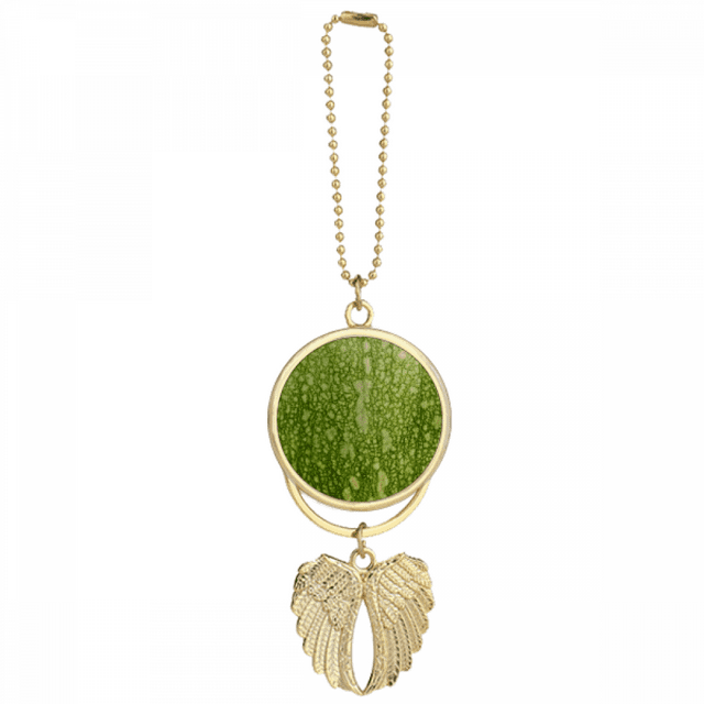 Motifs Photo Macro Pelure de Citrouille Verte Porte-Clés Voiture Pendentif Aile Angel