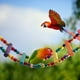 thumbnail image 4 of Cuentas de madera natural coloridas Bling Bling juguete para loros barra de soporte, 4 of 9