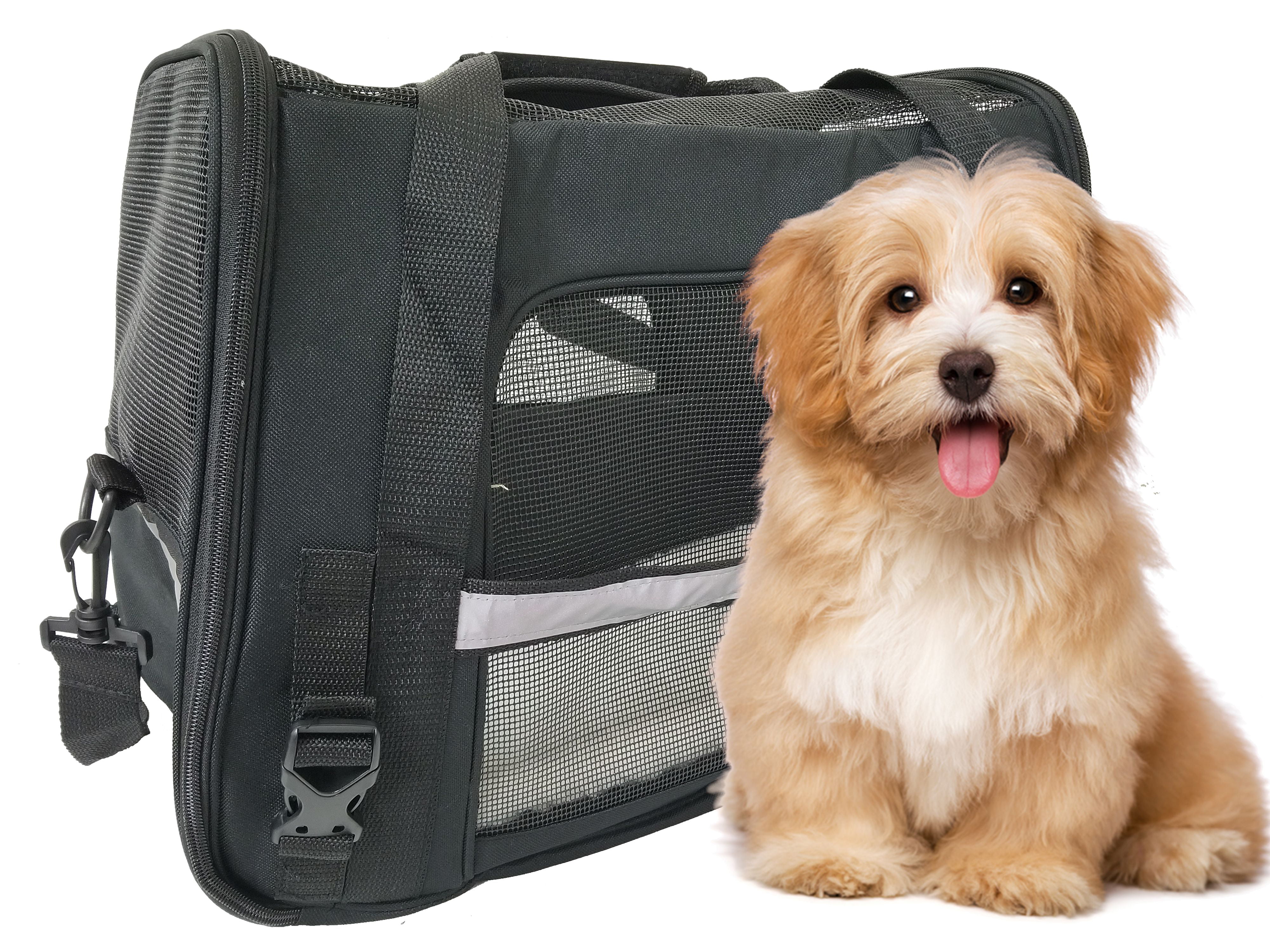 airline approved pet carrier walmart