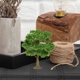 thumbnail image 1 of ELAYARD Árbol Para Micro Paisaje En Verde Con DIY Ideal Para Y Proyectos Creativos, 1 of 6