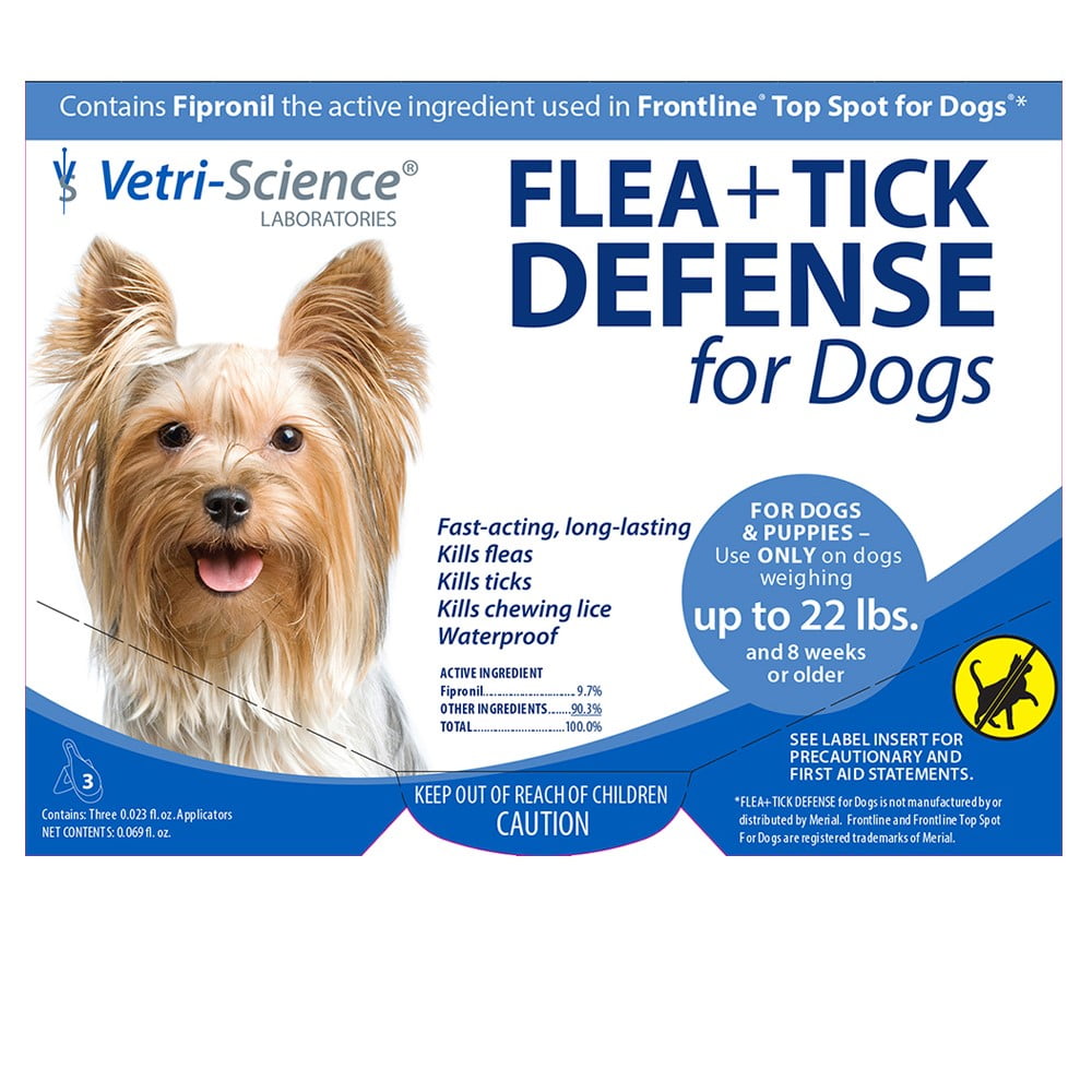 What Is The Best Flea & Tick Control For Dogs