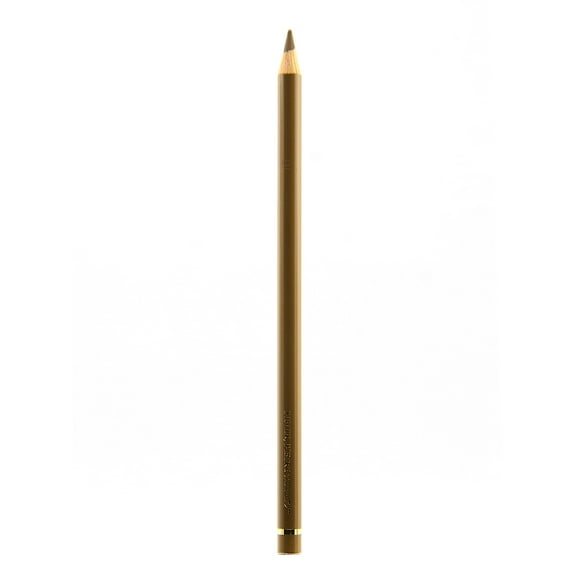 Polychromos Artist Colored Pencils (Each) bistre, 179 (pack of 12)