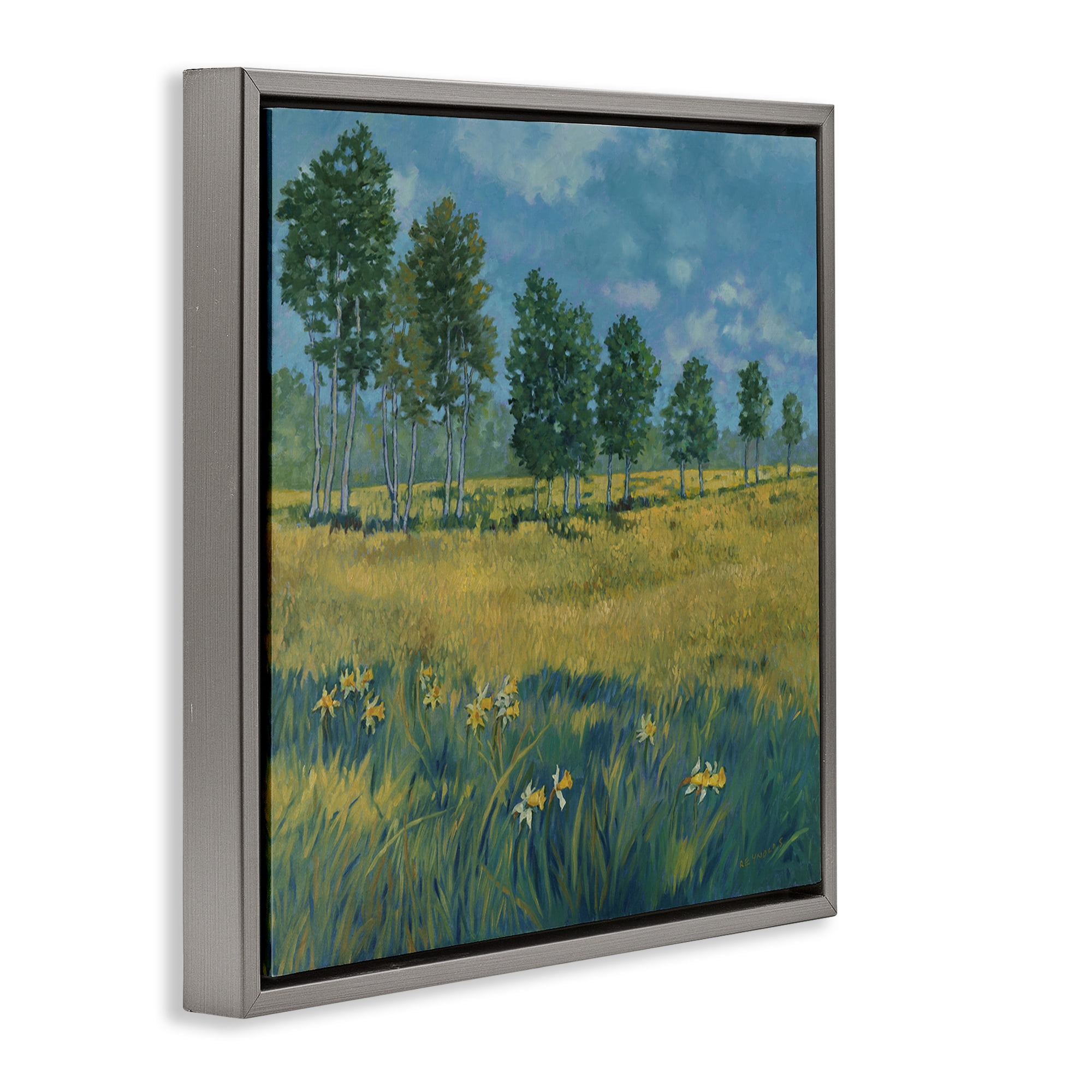 Stupell Industries Daffodil Field Landscape Landscape & Nature Painting Gray Floater Framed Canvas Art Print Wall Art, 18 x 18