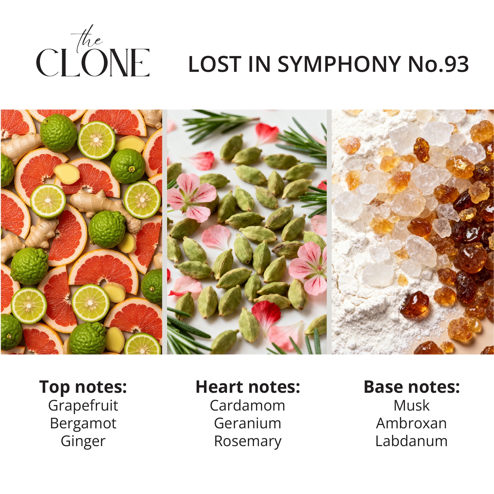 Clone Lost in Symphony No. 83, Inspired by Symphony Perfume For Women Men Unisex, Extrait de Parfum, Fragrance Perfume Spray 1.7 Fl Oz
