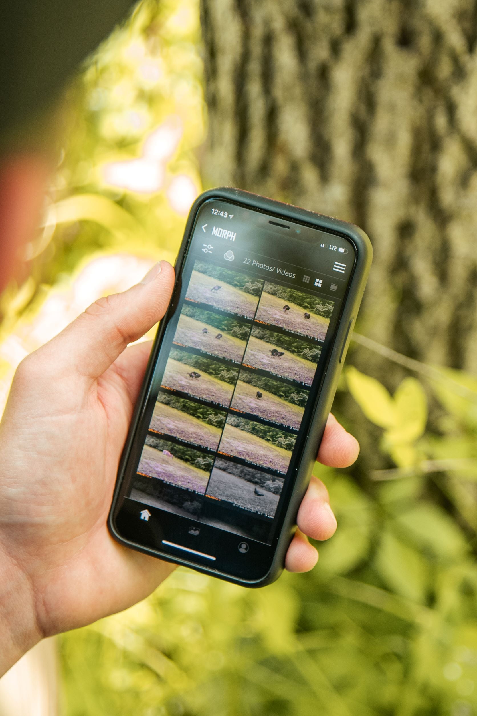Muddy Morph Cellular Trail Monitor, 26 Megapixels, Verizon