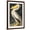 Brown Frame, variant on Art.com American White Pelican, Pelecanus Erythrorhynchos, from the Birds of America by John J. Audubon, Pu Giclee Print by John James Audubon, 12" x 18"