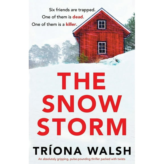 The Snowstorm: An absolutely gripping, pulse-pounding thriller packed with twists, (Paperback)