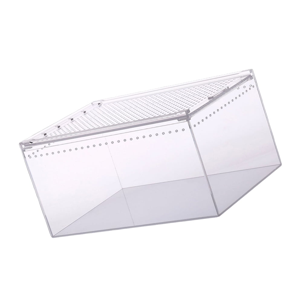 NIYANGLE Transparent Reptile Feeding Box Acrylic Habitat for Turtles Spiders Snakes