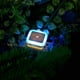 thumbnail image 3 of Xihbxyly Luz Nocturna Led Automática, Control de Inducción Enchufable, Consumo de Energía de 0,5 W, Ahorro de Energía, Luz Blanca, Función Inteligente de Amanecer a Anochecer, Ideal para Dormitorio,, 3 of 4