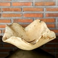 thumbnail image 4 of Uttermost Tamarine Coastal Wood Bowl in Natural and White Finish, 4 of 5