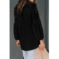 thumbnail image 3 of Women's Black Ruffled Split Neck Lace Hollow Out Puff Sleeve Polka Dot Blouse, 3 of 18