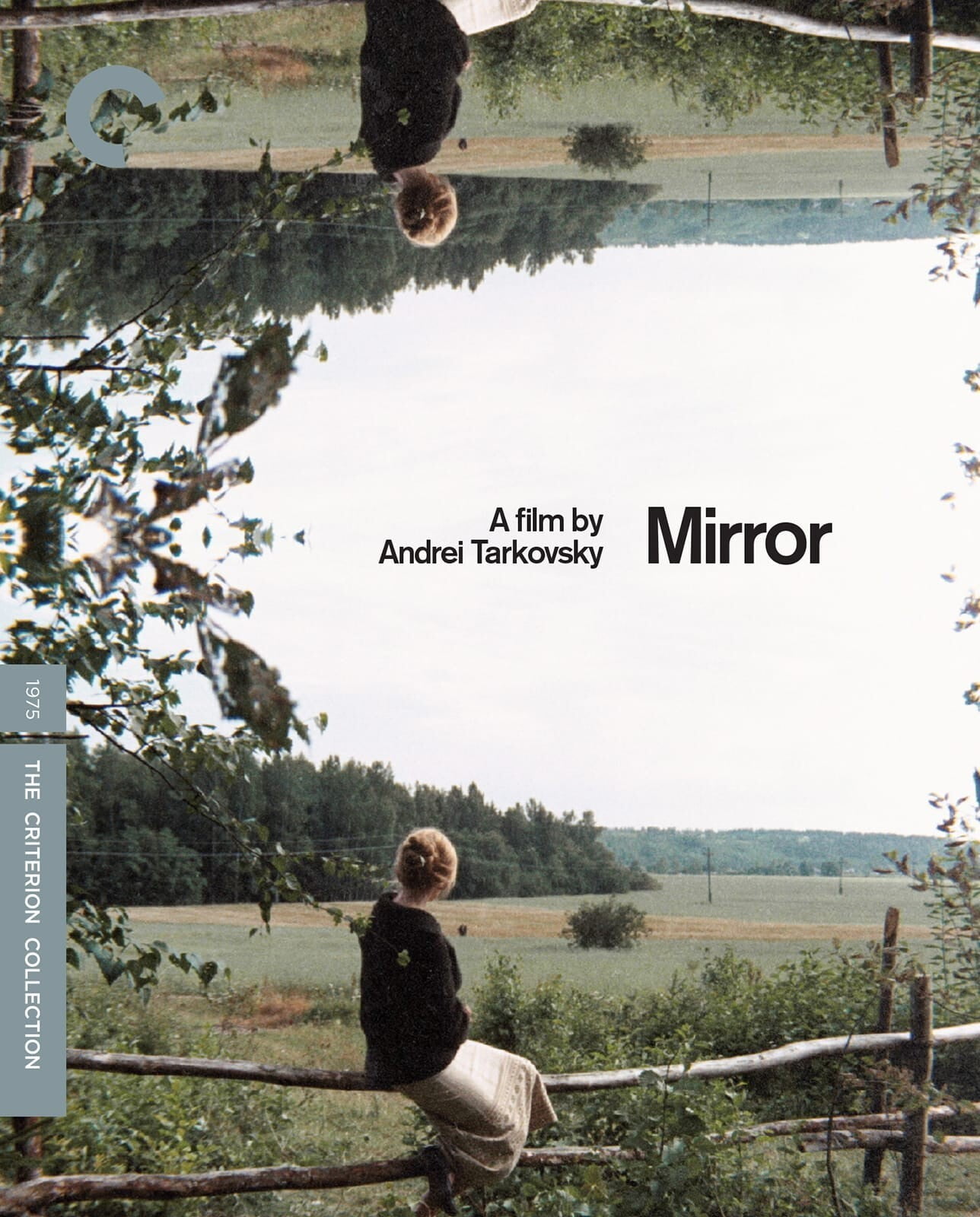Beau Travail (Criterion Collection) (DVD), Criterion Collection