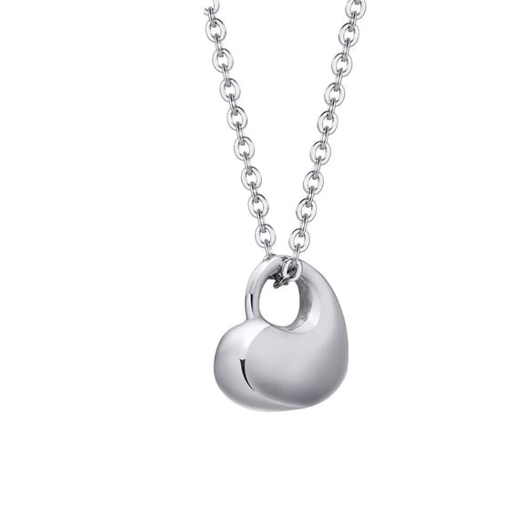 HIJONES Women's Stainless Steel Love Heart Pendant Necklace Creative Openable Funerary Casket Jewelry Chain Silver
