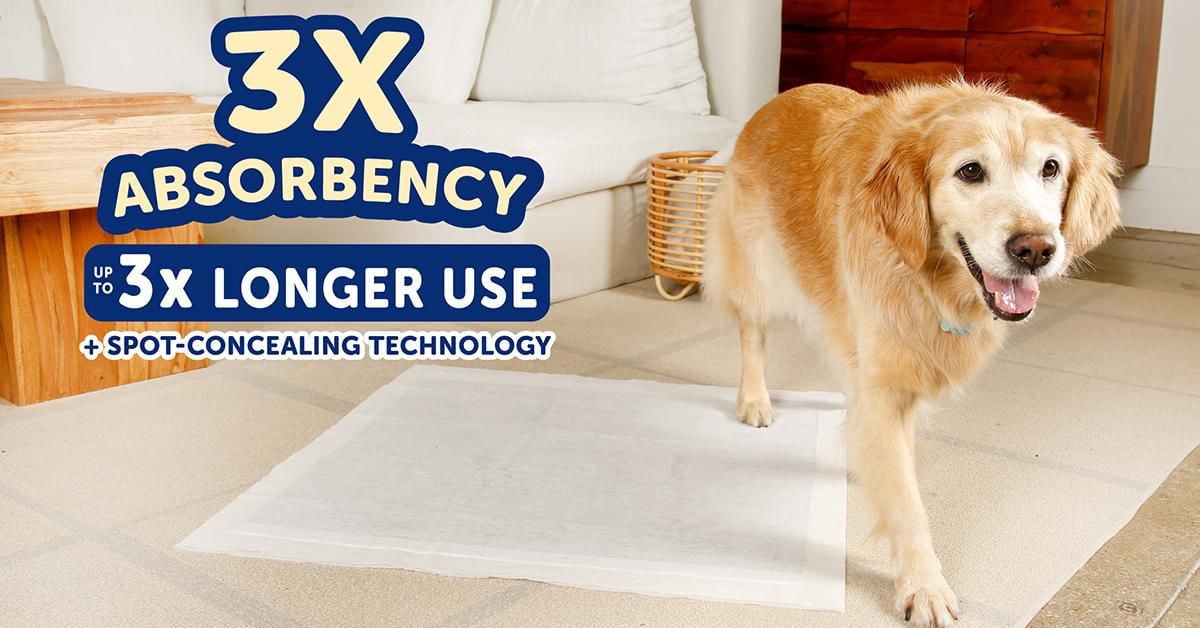 Hartz Home Protection 2XL Miracle Guard Pee Pads and Training Pads for Puppies and Adult Dogs, 2XL 20ct Dog Pad (30"x30")