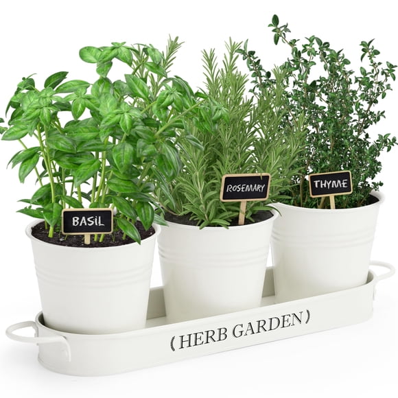 PERFNIQUE Jardinière d'Herbes Intérieure/extérieure, Pots de Plantes Style Ferme, Rebord de Fenêtre de Jardin avec Plateau, Pots de Fenêtre pour Plantes d'Intérieur (Of