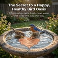 thumbnail image 4 of Copper Bird Bath Cleaner Disc, Durable Copper Material, Easy to Use, Chemical-Free, Suitable for All Bird Baths, Long-Lasting Water Treatment Accessory, 4 of 8
