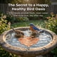 thumbnail image 4 of Copper Disc Of Bird Pond Cleaner Copper Disc Of Bird Pond Cleaner, 4 of 9