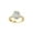 10K Yellow Gold, variant on ARAIYA FINE JEWELRY 10K White Gold Oval and Round-Shape Lab Grown Diamond Halo Solitaire Engagement Ring (3 1/2 Cttw, D-F Color, VS1 Clarity) Size 10