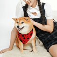 thumbnail image 4 of Kll Ladybug Pattern Dog Bandanas,Triangle Reversible Pet Scarf For Small Medium Large And Extra Large Dogs-Medium, 4 of 8