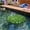 C, variant on Artificial Lotus Leaves Realistic Plastic Floating Lily Pads for Pond Aquarium Pool Fish Tank Garden Decor Accent