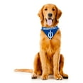 thumbnail image 2 of Indianapolis Colts Dog Bandanna Size L, 2 of 5