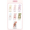 thumbnail image 2 of Plush Pendant Toys Surprise Box, Random Design, Cute Gift, 2025 New Release, 2 of 5