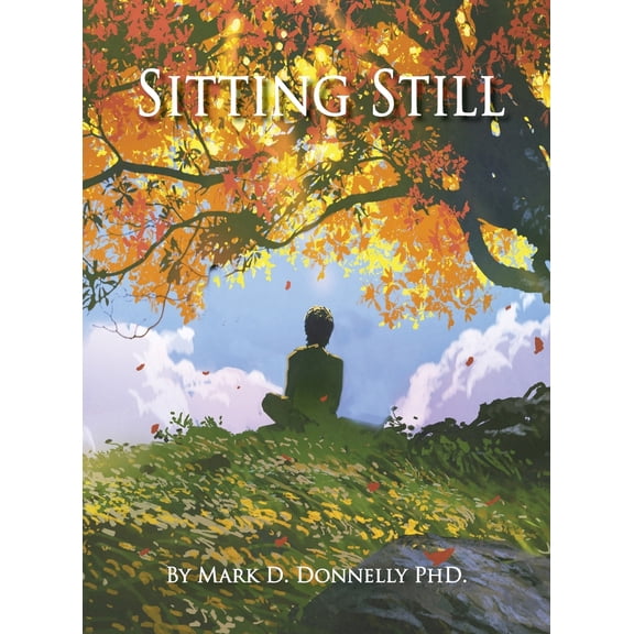 Pre-Owned Sitting Still (Hardcover) 1956688234 9781956688238