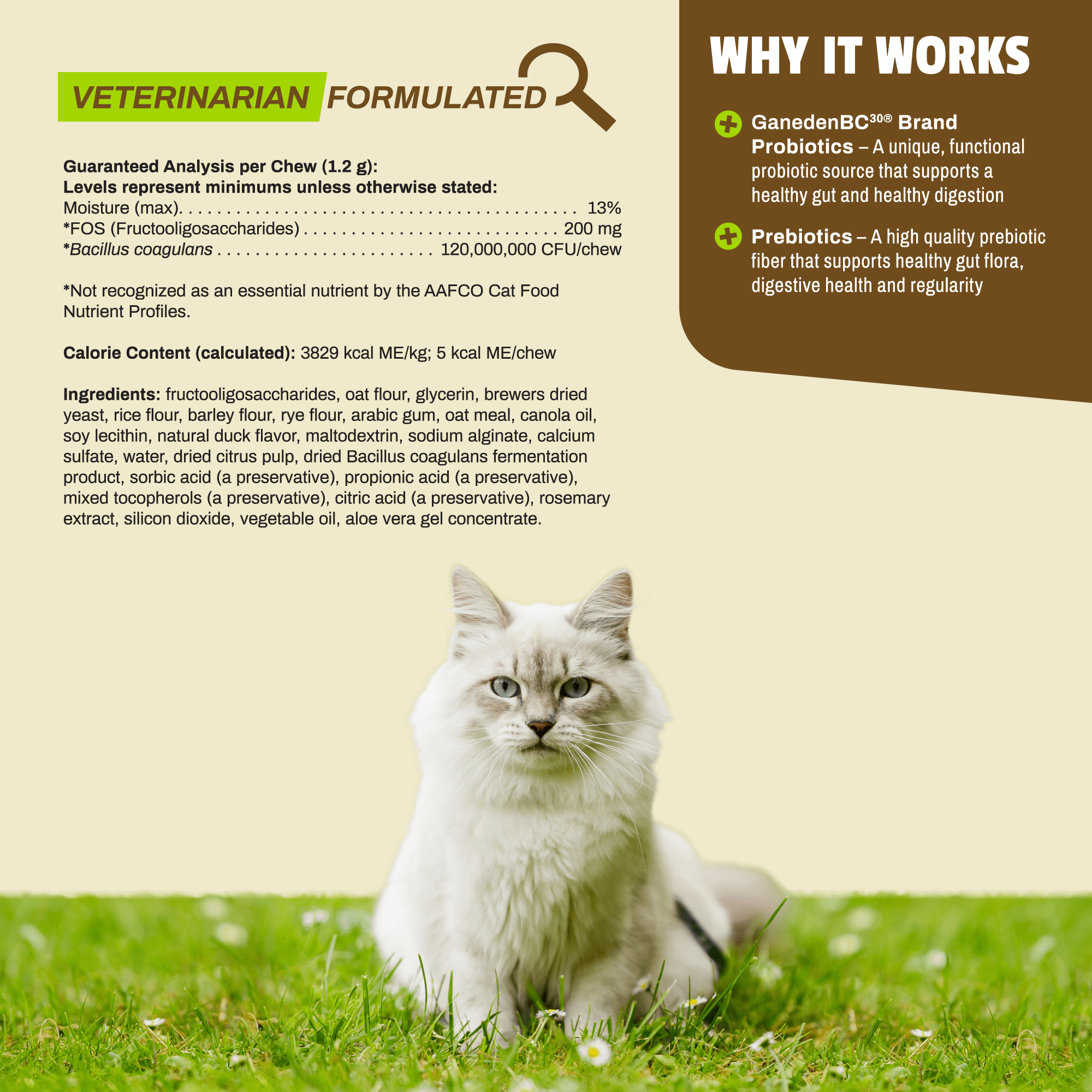 Prebiotics for cats top