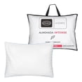 thumbnail image 1 of Almohada América Intense Estándar, 1 of 4