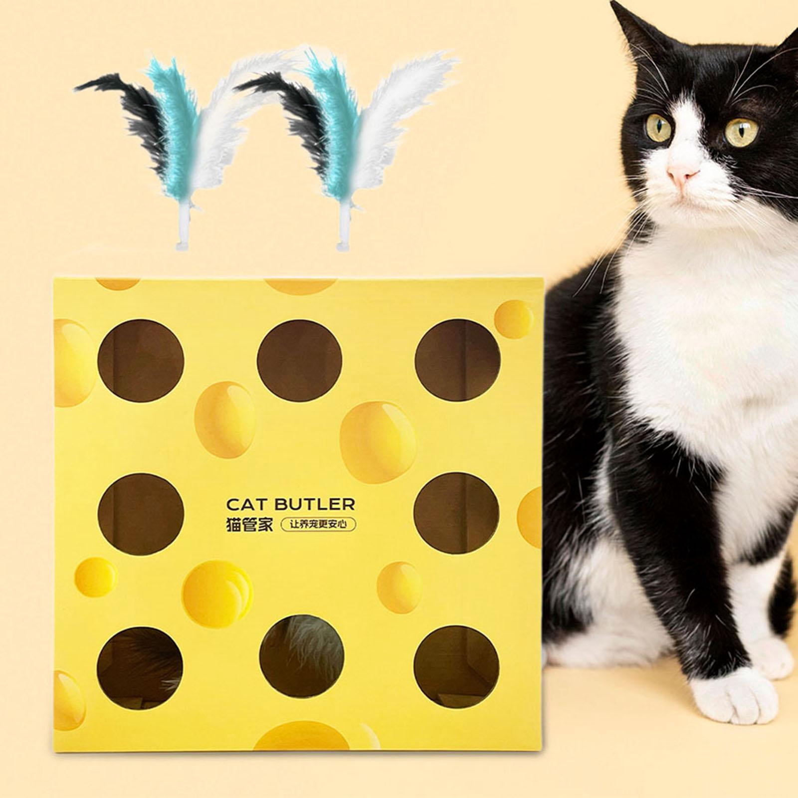 Toysmith Electric Cat Toy Whack A Mouse Cat Toy Feather Toy for Small Medium Cats Cats Cheese Box Feathers