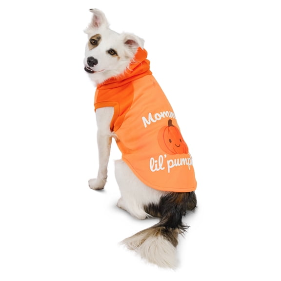 Vibrant Life Halloween Hoodie for Dogs, Mommy's Lil' Pumpkin, Orange, M