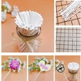 thumbnail image 4 of Monstrate 100 piezas de palitos de papel de caramelo, varillas de Chocolate portátiles, Kit surtido, poste de azúcar, fabricación de postres, accesorio Herramientas y accesorios para hornear 10cm Monstrate  HA3265-01B, 4 of 6