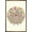 Bronze Framed Version, variant on Andy Westface - Porcupine Give Me A Hug Wall Poster, 14.725" x 22.375"