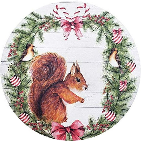 

Maison Charlo | Set of 4 Washable Heat-Resistant Christmas Squirrel Cover Round Placemats - 14 Diameter Polyester | Grey Dining Table and Home Decor for Parties and Kitchen Table