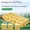 50, variant on Rock Wool Hydroponic Growing Cubes, 2.5cm Seedling Starter Blocks for Indoor Plants, Vegetable and Flower Germination, 50 pcs