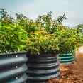thumbnail image 2 of Vego Garden 17" Tall 3.5ft x 5ft Raised Gardening Bed Metal Outdoor Planter Modern Gray, 2 of 7
