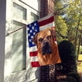 thumbnail image 2 of Carolines Treasures CK6444CHF Boerboel Dog American Canvas House Size Outdoor-Flags, Multicolor, 2 of 4