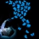 thumbnail image 5 of Pegatinas de pared luminosas con forma de mariposa azul creativas para decoración de dormitorio infantil, pegatinas de pared luminosas impermeables y extraíbles, 5 of 5