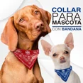 thumbnail image 4 of Collar Para Perro Gato Pañuelo Paliacate Varios Tamaños Er, 4 of 7