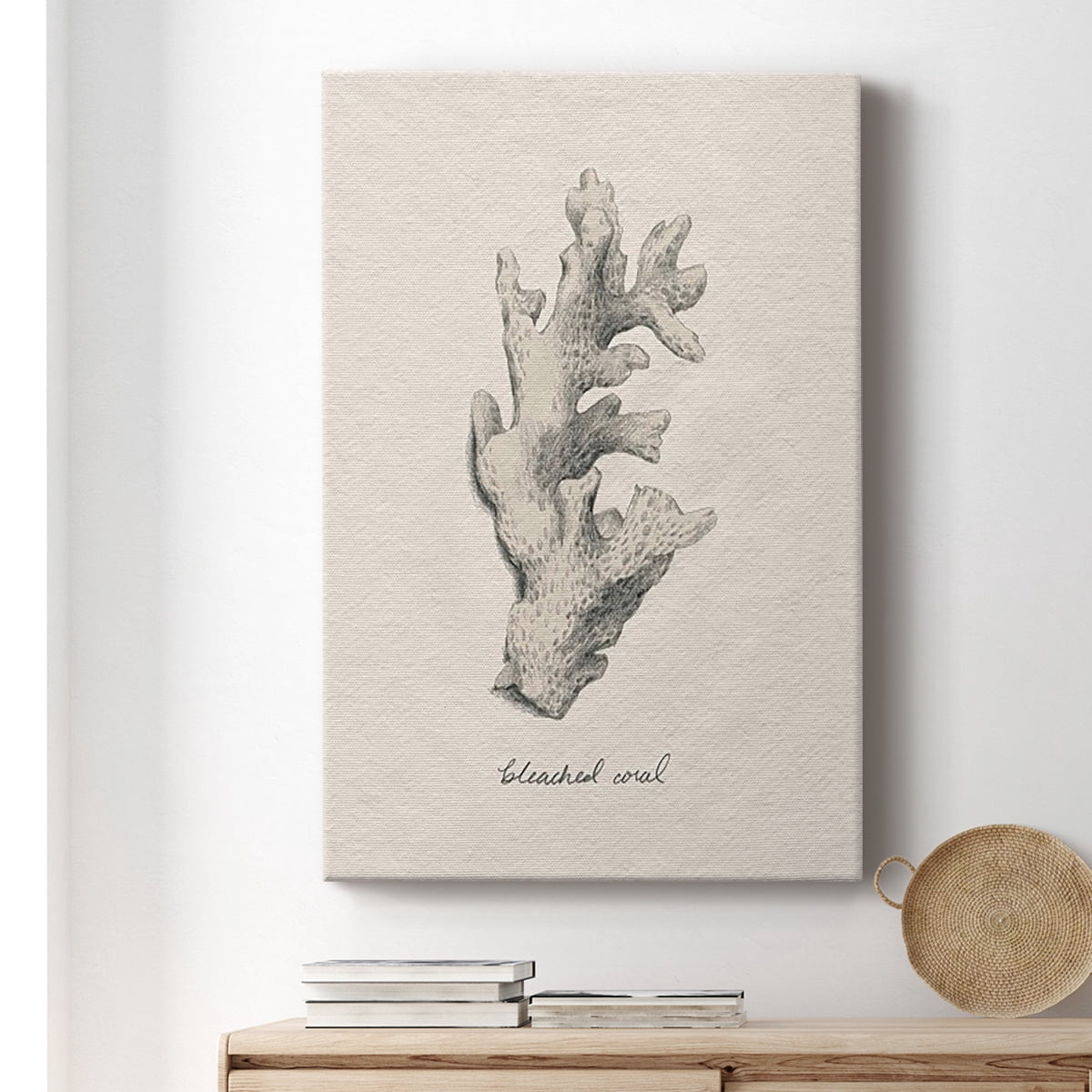 Shore Treasure Study II Premium Gallery Wrapped Canvas - Ready to Hang