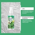 thumbnail image 4 of RAGUPEL Plant Growth Hormones Leaf Shiny Spray for Indoor Plants-Quickly Penetrate Plant Leaves and Natural Plants-Leaf Cleaner for House Plants 100ML Multicolor, 4 of 7