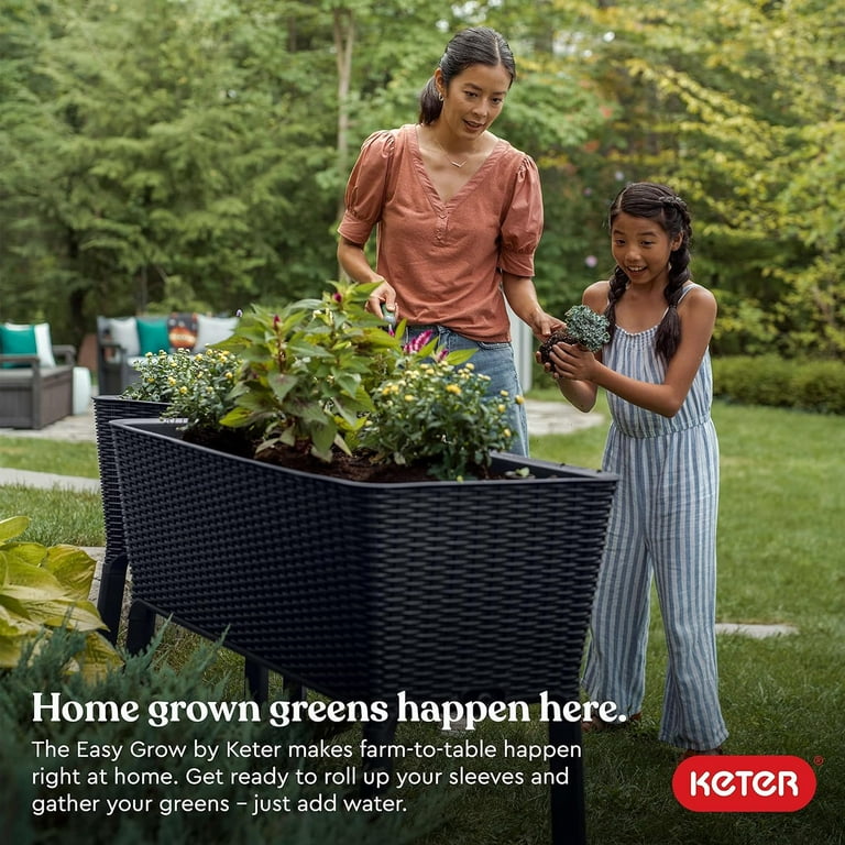  Keter Easy Grow 31.7 Gallon Brown Rectangular Plastic Indoor  Planter : Patio, Lawn & Garden