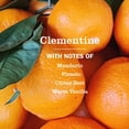 thumbnail image 3 of CLEAN DAY Liquid Dish Soap, Clementine Scent 16 Fl Oz, 3 of 4