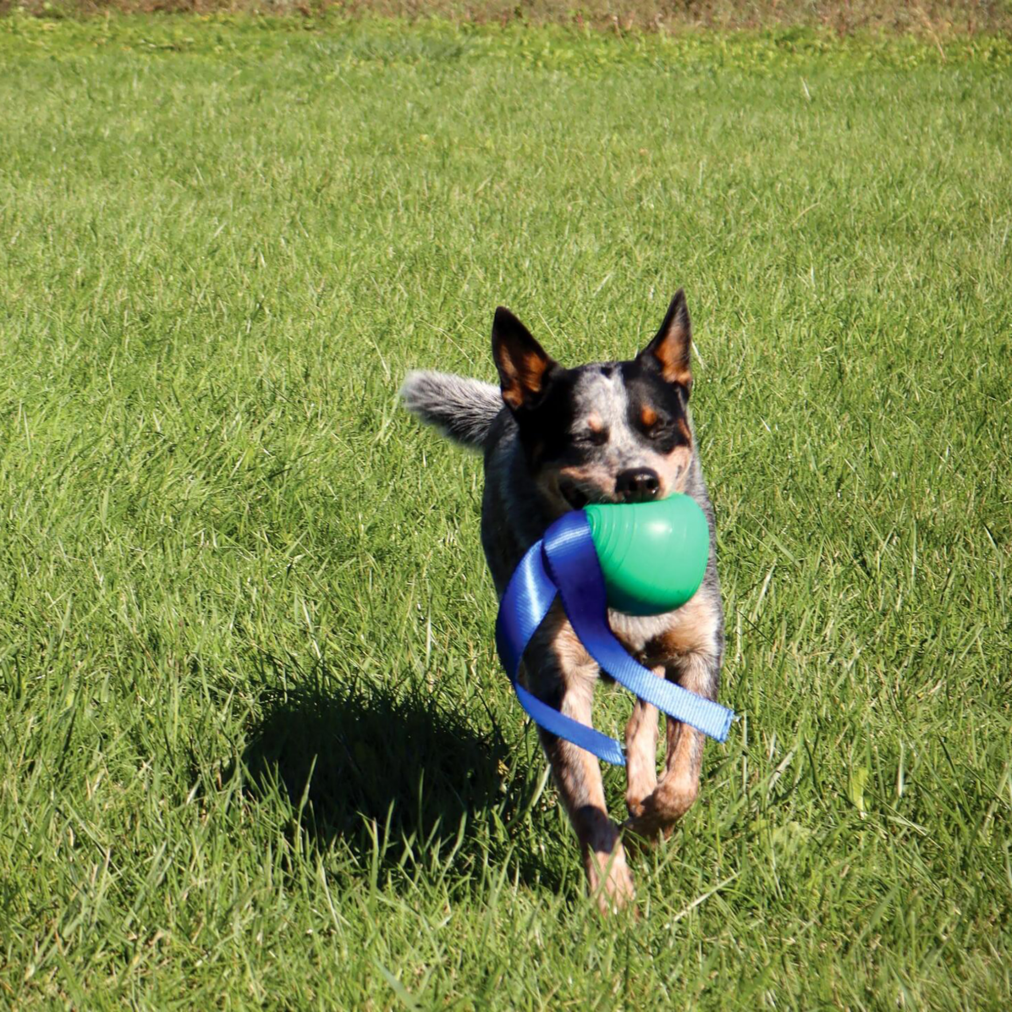 PetKORE: KoreFlex Ball & Tail - 4.75", Green, Dog Toy, Shape Maintaining Rubber, Durable Strap, Treat Stuffing Center, Bounce-Tug-Fetch-Chew, Pet Play