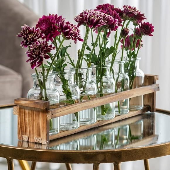 Florero de cristal Le'raze con soporte de madera para plantas y 6 floreros