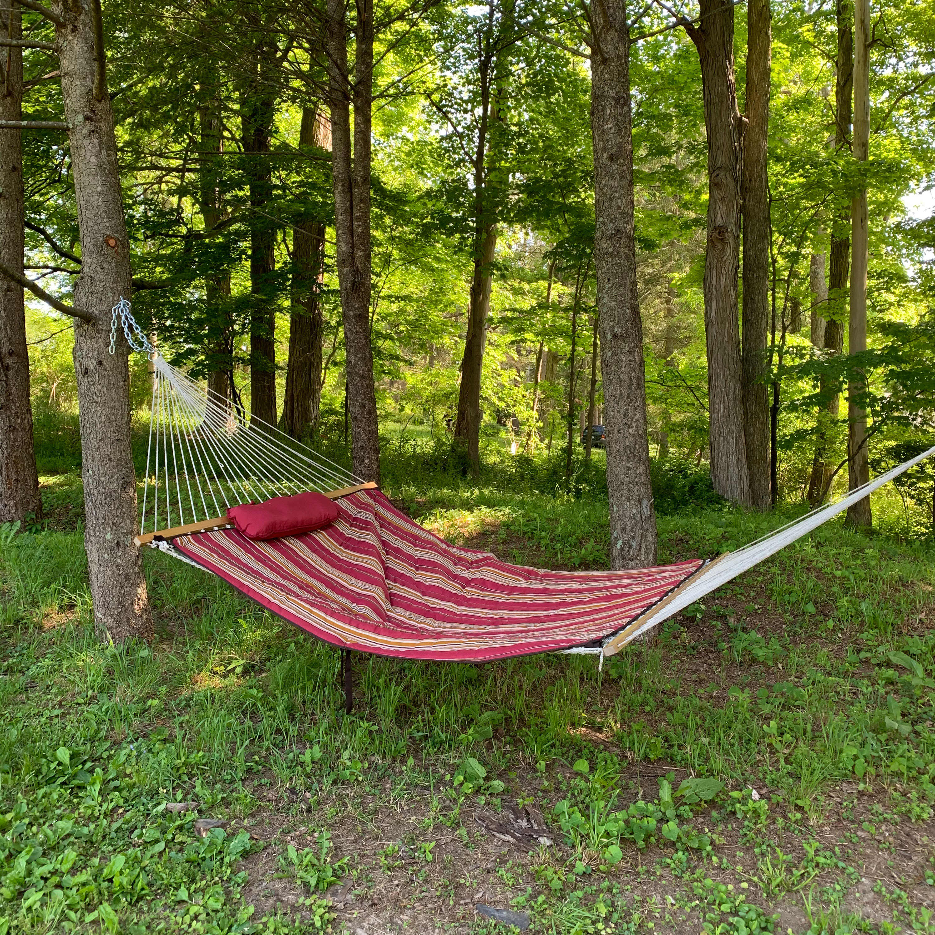 hammock pad and pillow set