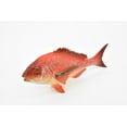 thumbnail image 2 of Red Snapper, Toy, Fish, Onaga, Rockfish, Very Realistic Rubber Figure, Model, Educational, Animal, Hand Painted Figurines, 7" CH036 BB75, 2 of 7