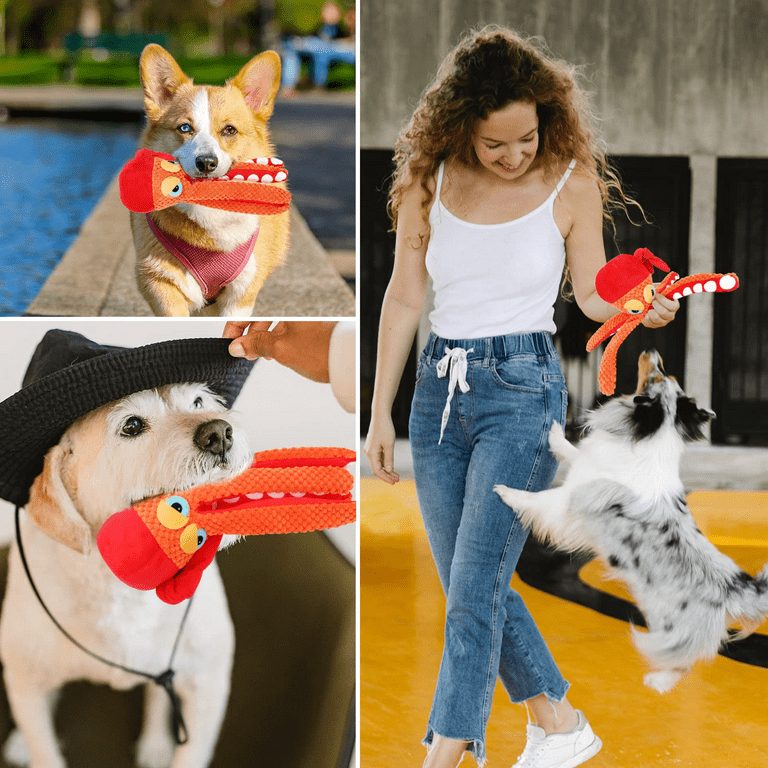 Dropship Pet Dog Toys For Large Small Dogs Toy Interactive Cotton Rope Mini Dog  Toys Ball For Dogs Accessories Toothbrush Chew Premium Cotton-Poly Tug Toy  For Dogs Interactive Rope Dog Toy For